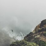 Search Isn’t a Hallucination Vaccine: What Gemini’s Reddit Backlash Really Reveals Picsum ID: 731